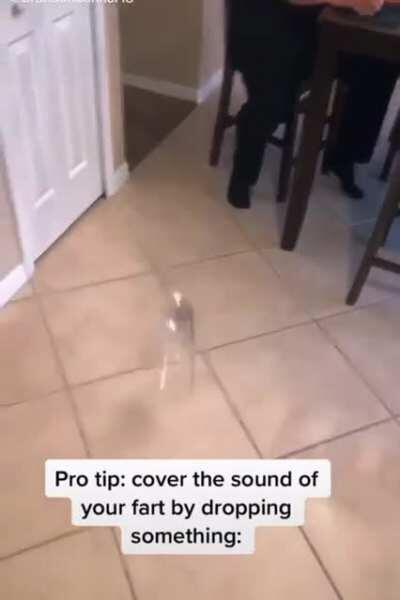 Cover your farts by dropping something (extended)