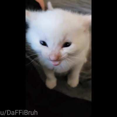 Herbert is Senpai😳