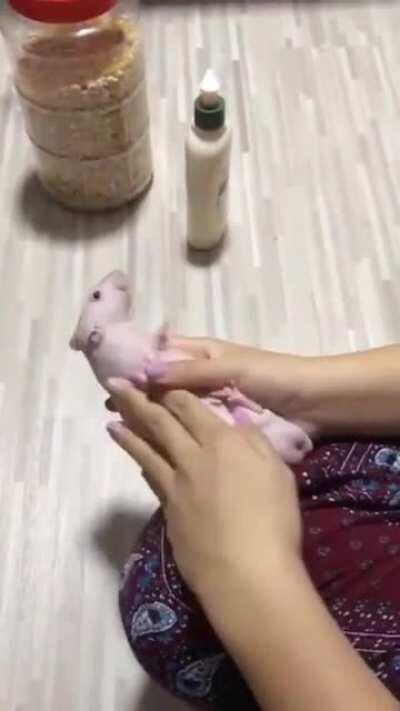 Hello stranget can you tell us where youve been? Your jounriy is fsr from over. We will weigh your worth before her majesty the Verde River