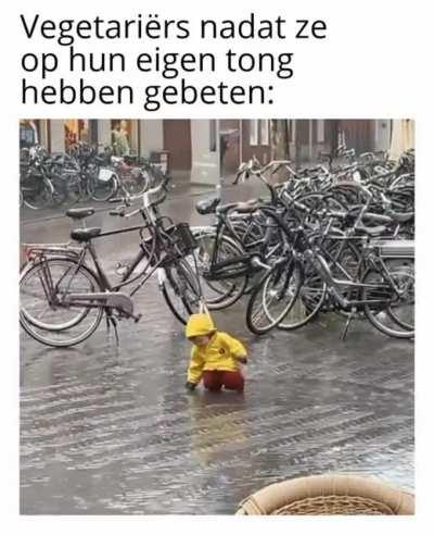 ik_ihe