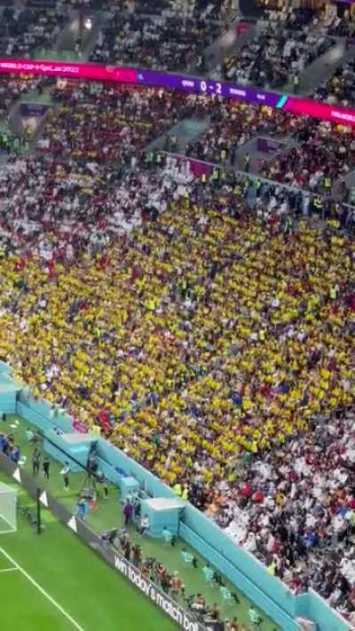 Ecuadorian fans chanting 