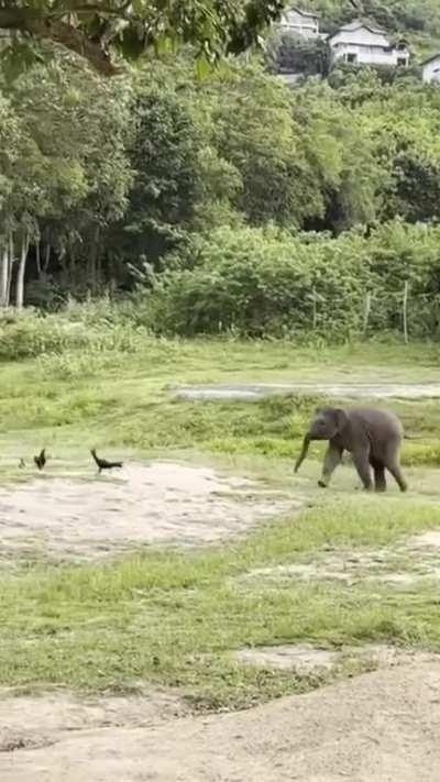 beautiful 🥹♥️