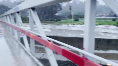 Los Angeles River this morning