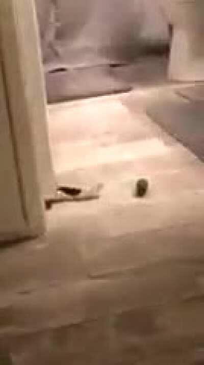 Como assim vc acha q eu n consigo?