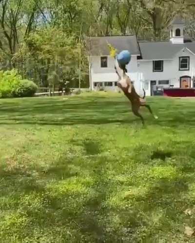 Now it's time to bring it around town