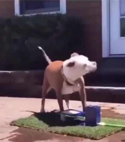 I just want some water