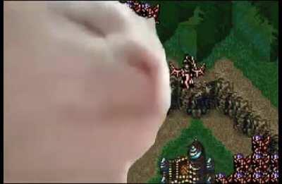 Nobody Expects the Thracian Army