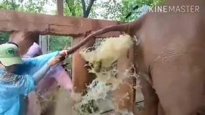 Clearing the blockage