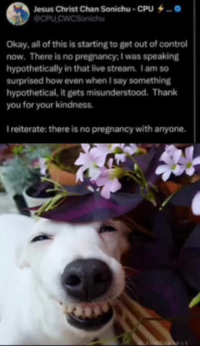 It was all fake then.