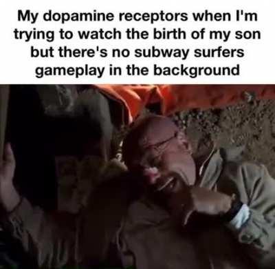 no attention span whatsoever