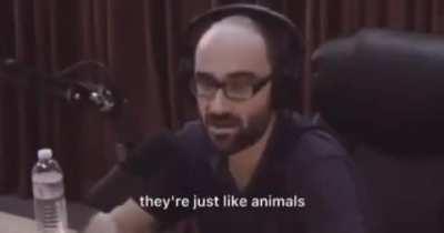 Hey Michael from vsauce ive been always a phyco