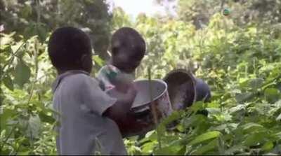 People in Africa catching,cooking mosquito burgers