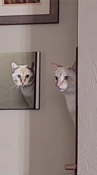 The prophecy is true