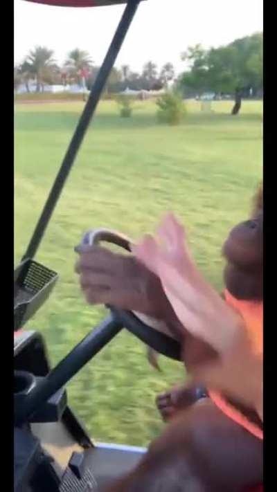 muca aprendendo a andar de carro😍😍