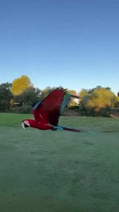 Recorded In Majorca, Spain