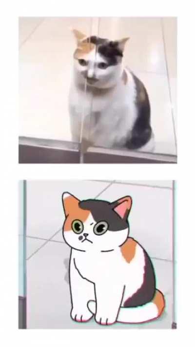 Cute cats doing cute stuff