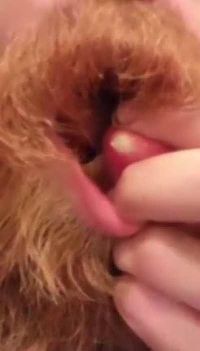 I can’t watch but can’t look away