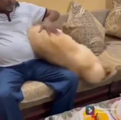 Главное манёвры.