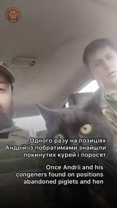 In memory of Ukrainian defender Andriy Kacenyuk who continually saved animals throughout the war and was killed by Russian shelling in Kreminna