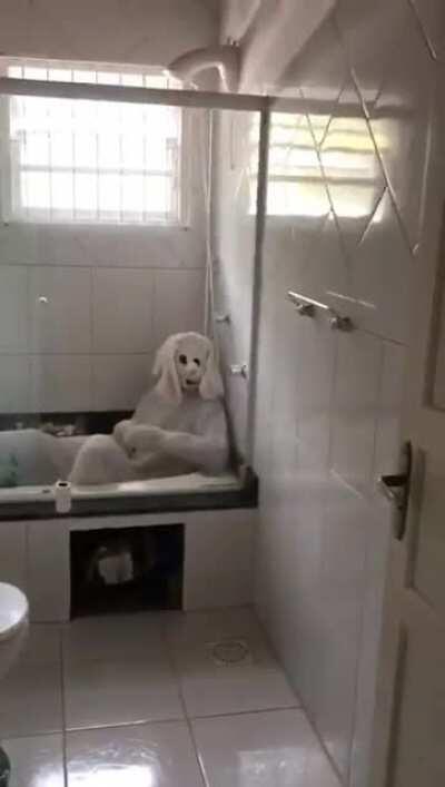 Thanks, I hate Easter Bunny.