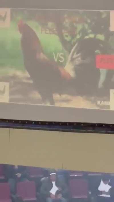 Alleged sicarios throw grenade at a cockfight event in Hidalgo Mexico