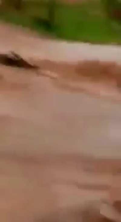 He was warned not to cross but he wouldn't listen