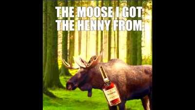 the moose i got the henny from