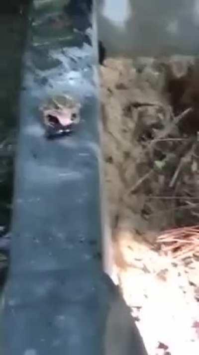 I can feel the disappointment