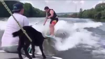 Let's take the goat, WCGW?