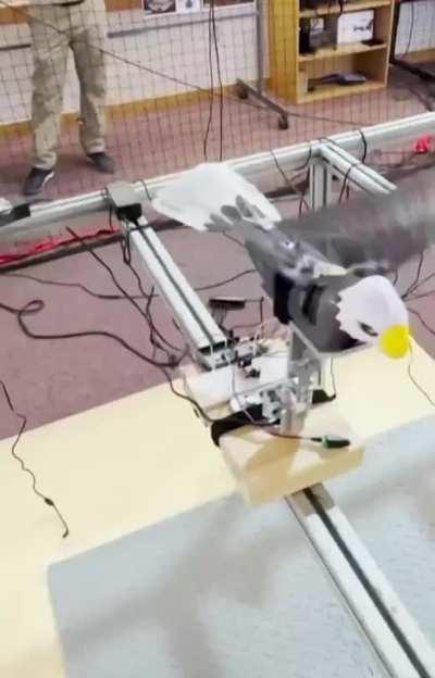 Researches in Mexico converting dead birds into Drones