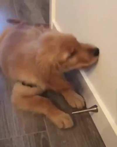 What the heck is this thing?!