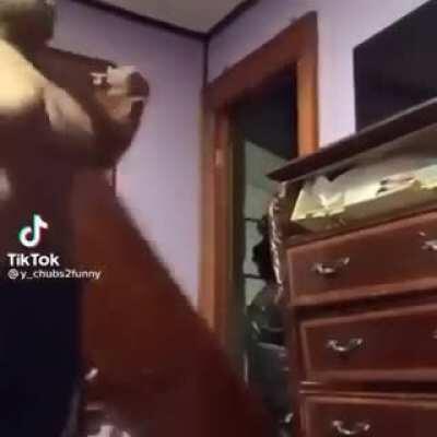 Noooo dylan que hiciste