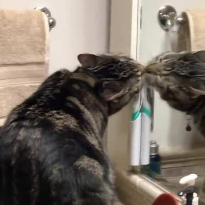 Wife sent me this video while I was at work.