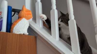 Touch tha Flerken 😺