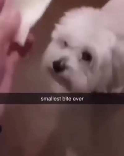 small bite