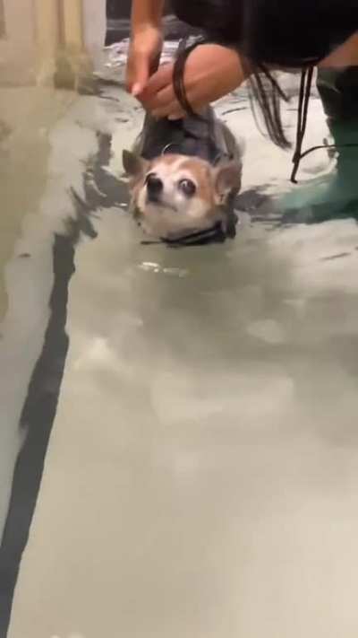 Survival instincts are for wolves