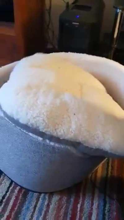 When you just cannot seem to get comfy