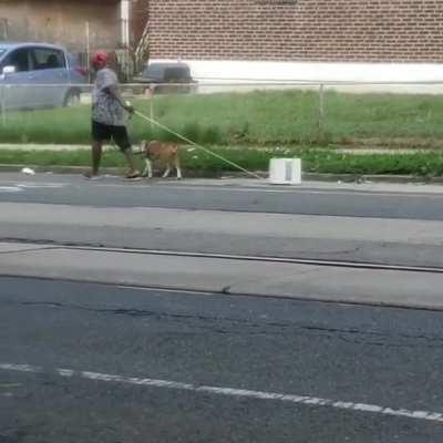 Just some lady taking her AC for a walk