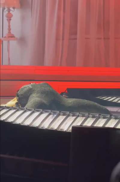 Showing off her body