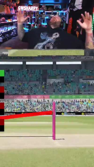 WHAT A HORRENDOUS DECISION! - This is why umpire's call sucks