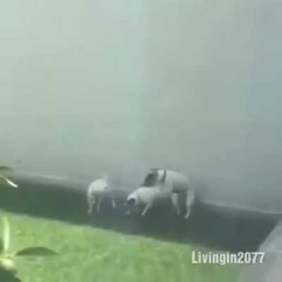 NTA, Math0nGo, Prod!JEE Right Now