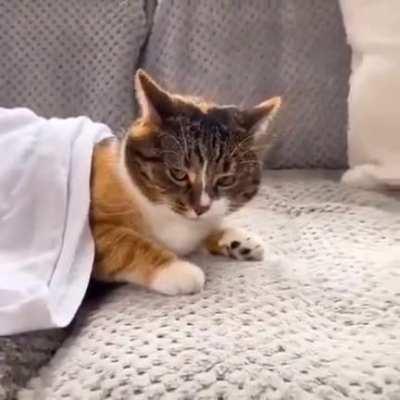 POV: you're out of position against Skarner