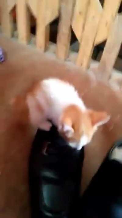 Perseverance pays off