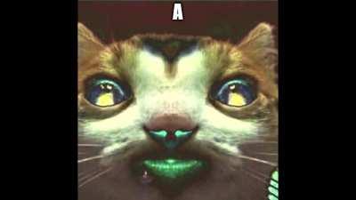 Me in 2016. Man this metal thing is kinda nice. vs me in 2021