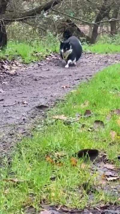 They call me MR Bombastic