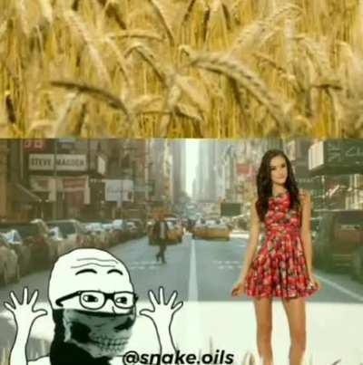 OMG OMG IS THAT A BASED TRAD WIFERINO? I'M GONNA-- I'M GONNA...