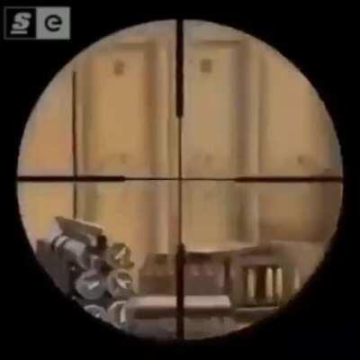 SAAS OI VÍDEO DO ABELHA 😘