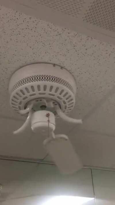 “Education department fan has issues”