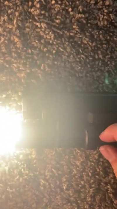 Anyone else having PL350 issues?