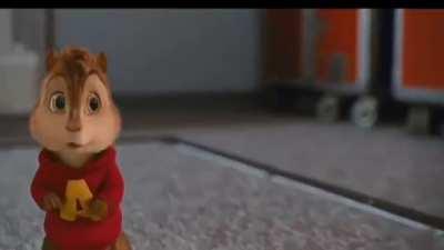 Alvin esta a aprontar meus casas